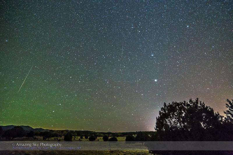 Prospects for the 2015 November Leonid meteors