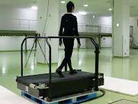 Researchers study feedback control for balancing on two legs