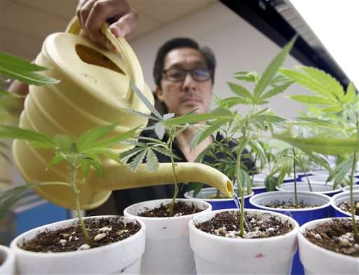 California governor OKs medical marijuana regulations