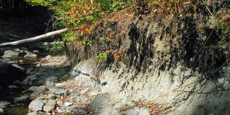 Research suggests that streambank erosion may soak up unwanted phosphorus, rather than cause it