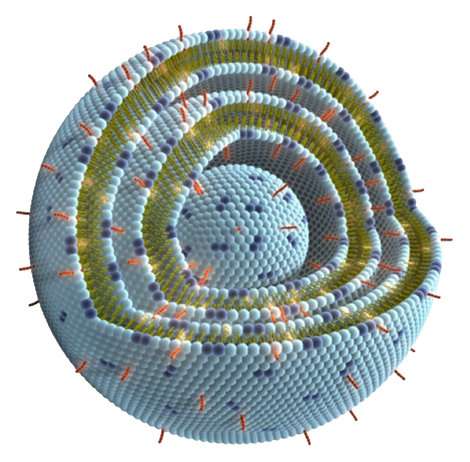 Scientists present review of liposomes: A basis for drugs of the future