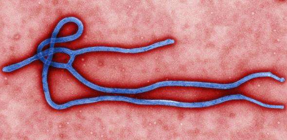 Scientists release Ebola sequencing data to global research community online