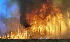 Scientists study El Niño fires in Indonesia