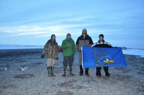 Researchers study Arctic nesting sites of Atlantic brant geese