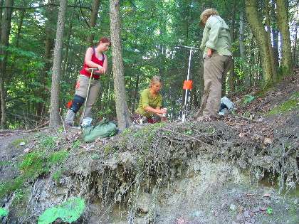 Research suggests that streambank erosion may soak up unwanted phosphorus, rather than cause it