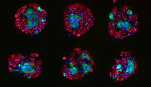 Scientists seeking better way to screen chemicals for cancer-causing effects