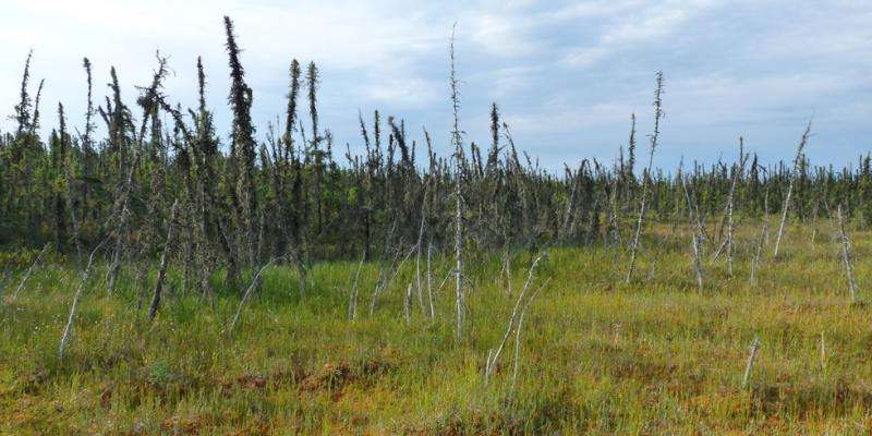 Researchers predict gradual, prolonged release of greenhouse gases from thawing permafrost