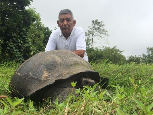 Scientists identify new Galapagos giant tortoise species