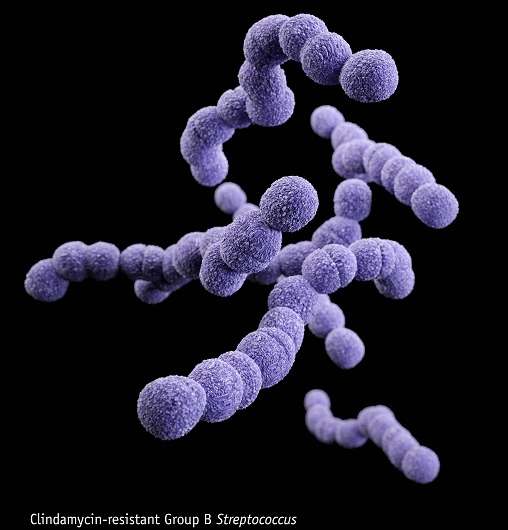 Scientists sequence streptococcus bacteria strain causing severe infections