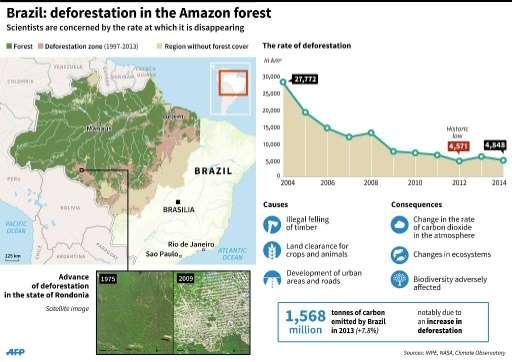 Graphic showing deforestation in the Amazon forest up to 2014