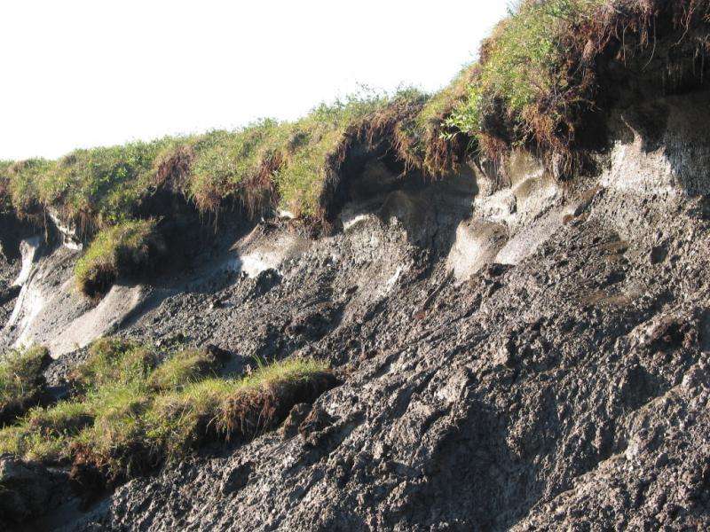 Researchers clarify impact of permafrost thaw