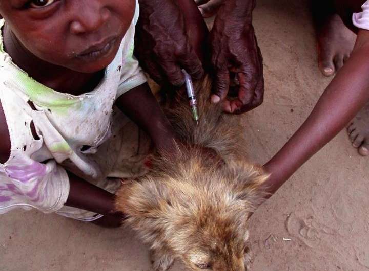 160 people die of rabies every day, says major new study