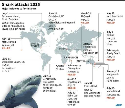 Graphic showing major shark attacks worldwide in 2015