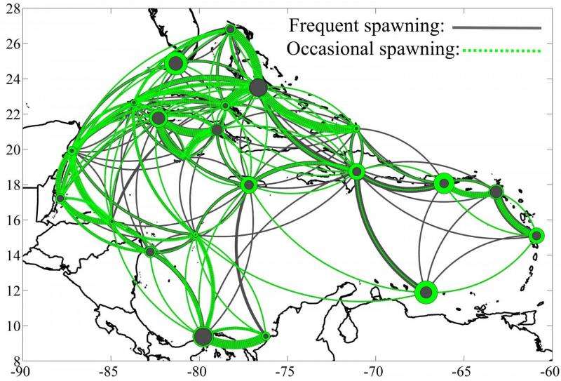 New study showed spawning frequency regulates species population networks on coral reefs