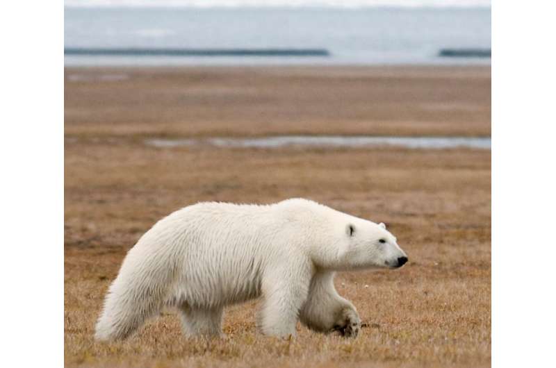 Scientists propose polar protection plan