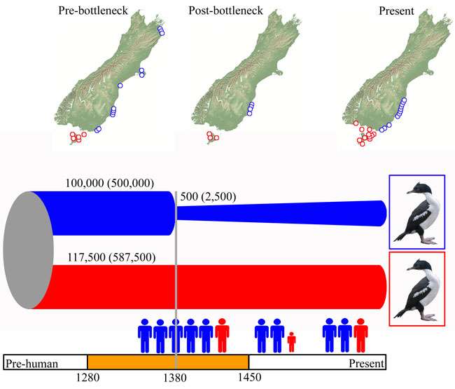 Scientists reveal New Zealand’s prehistoric wildlife sanctuaries