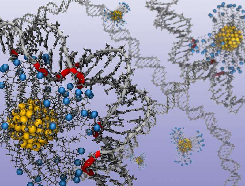 Researchers detail how to control shape, structure of DNA and RNA