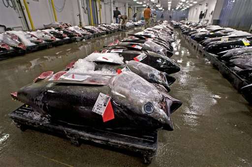 Environmentalists ask court to stop Hawaii tuna quota shift