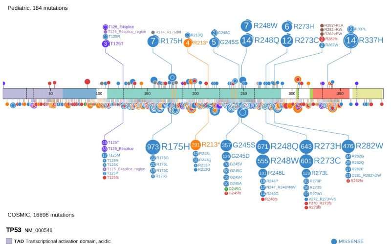 Researchers develop powerful interactive tool to mine data from cancer genome