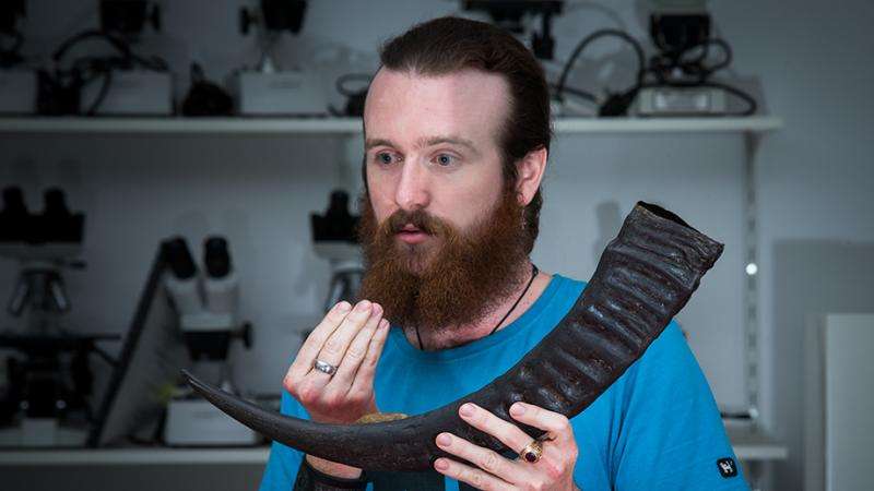 3D printing revives bronze-age music