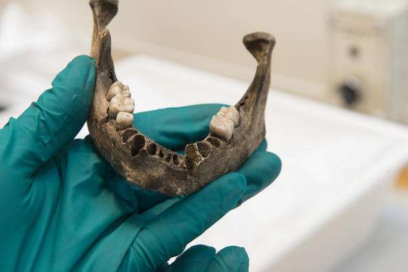 8000-year-old “Viste Boy” sent for DNA analysis