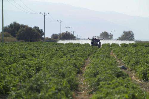 Agricultural insecticides pose a global risk to surface water bodies