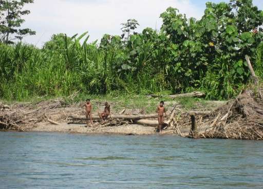 A picture released on January 31, 2012 by Survival International shows members of the Mashco-piro tribe near the Manu National P