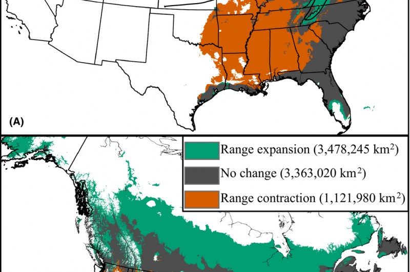 Chickadee research predicts drastic northward shift for southern species