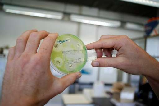 Chinese researchers have identified and a Danish study has confirmed a gene that makes bacteria resistant to even last-resort an