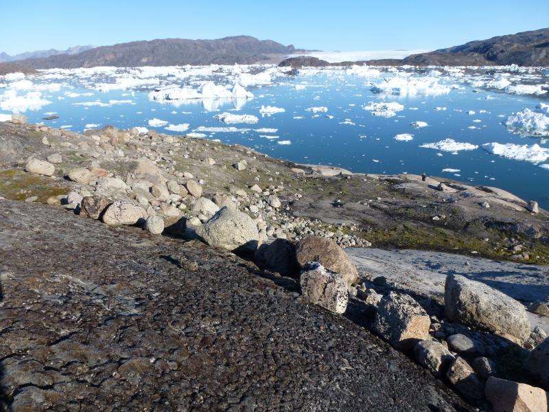 Could changes in Arctic precipitation slow ice sheet loss and temper sea level rise?