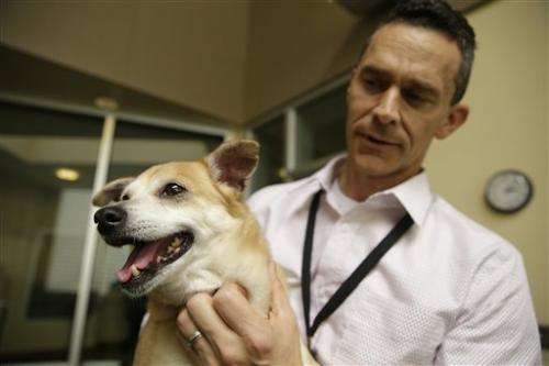 DNA tests help California shelter speed up dog adoptions
