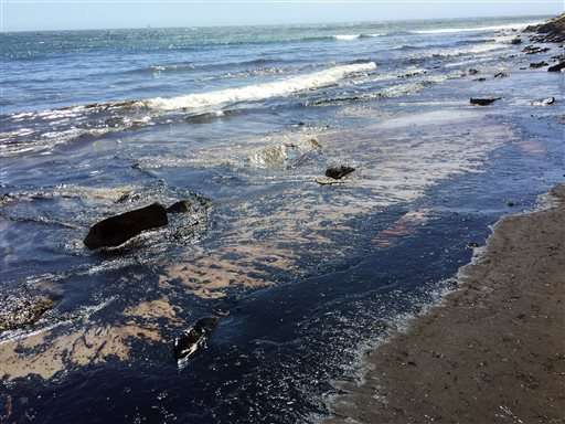 Efforts underway to scrub spilled oil from California coast (Update)