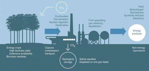 Electricity from biomass with carbon capture could make western US carbon-negative