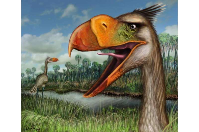 Exceptionally preserved fossil gives voice to ancient terror bird