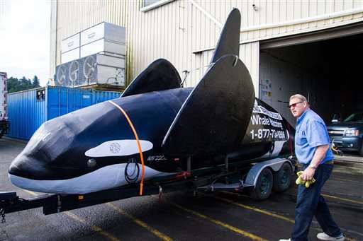 Fake orca nearly drowns before it can scare Ore. sea lions (Update)