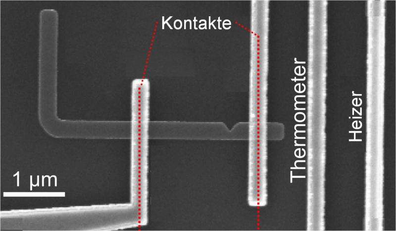 First measurement of the thermoelectric properties of a single magnetic domain wall