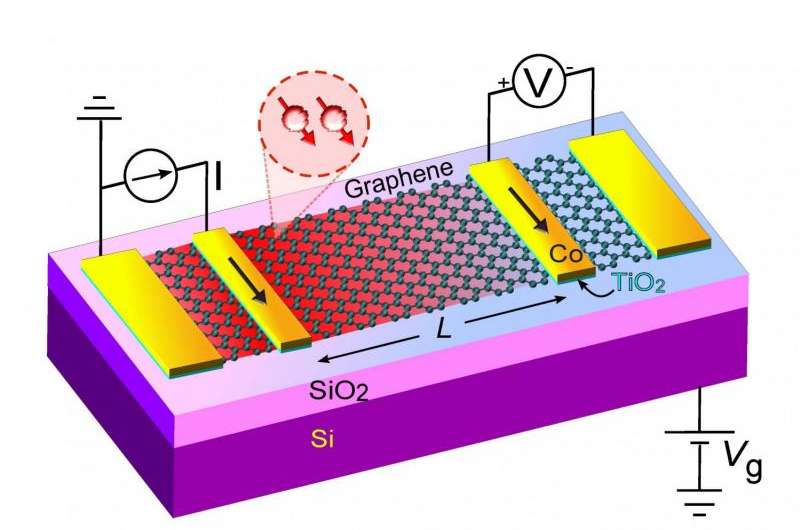 Graphene looking promising for future spintronic devices