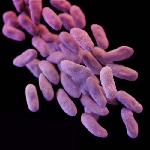 Los Angeles hospital 'superbug' takes toll on infected