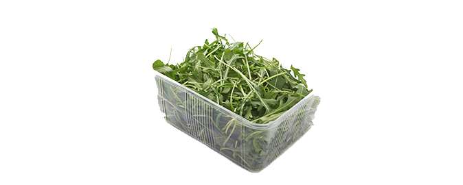 Measurement of volatile organic compounds may reveal wild rocket salad quality