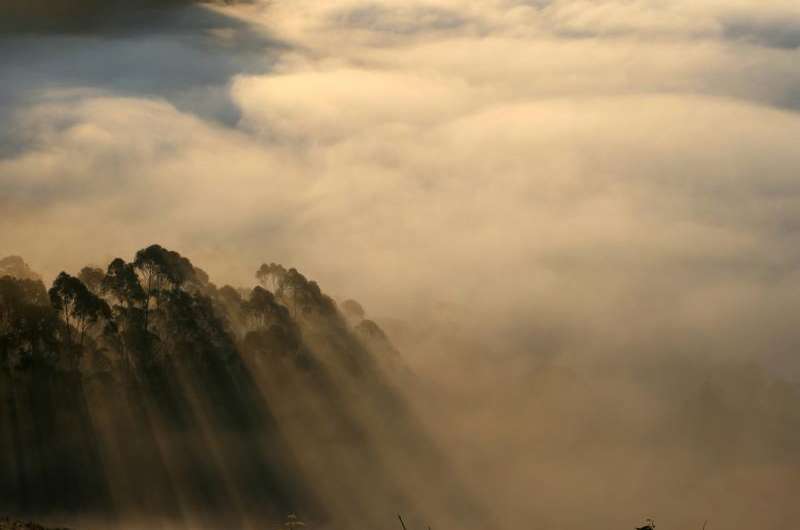 Mercury-laden fog swirls over coastal California, scientists find
