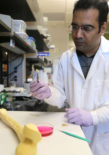 New material could advance bone-grafting treatments for cancer patients
