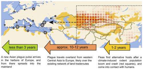 Plague outbreaks that ravaged Europe for centuries were driven by climate change in Asia
