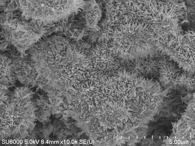 Plantations of nanorods on carpets of graphene capture the Sun's energy