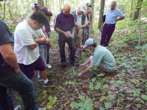 Plant scientist works with landowners, law enforcement to protect ginseng