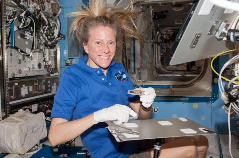 Plants use sixth sense for growth aboard the space station