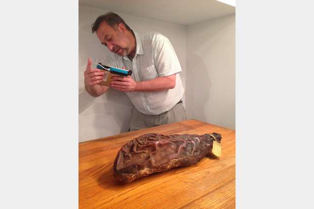 Professor 3-D scans world's oldest ham, peanut