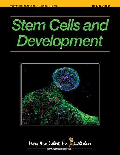 Protein identified that favors neuroprotective glial cell formation from stem cells
