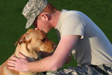 Researcher examines impact of service dogs on returning vets