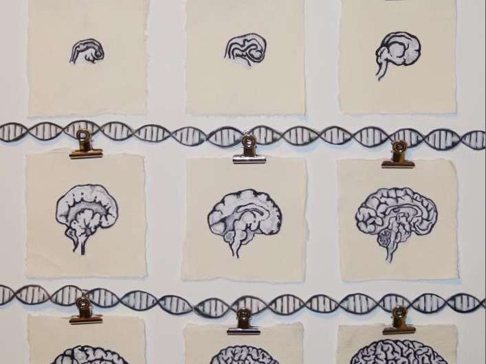 Schizophrenia-associated genetic variants affect gene regulation in the developing brain