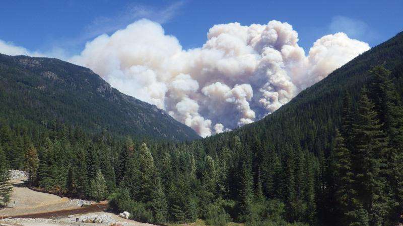 Scientists advise letting wildfires burn when prudent
